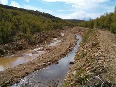 Jäkälä-äytsi 2003